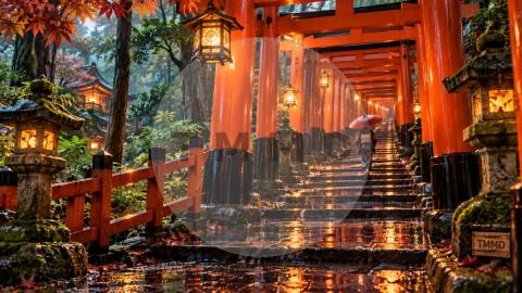 Fushimi Inari in Red Rain
