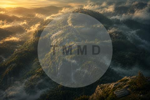 Sleeping Mountain Beneath the Forest