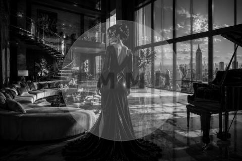 Enigma in the Panoramic Salon